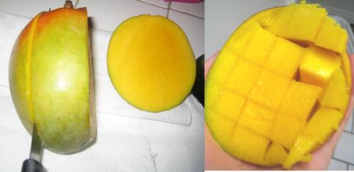 Cutting a mango is easy if you know this method!